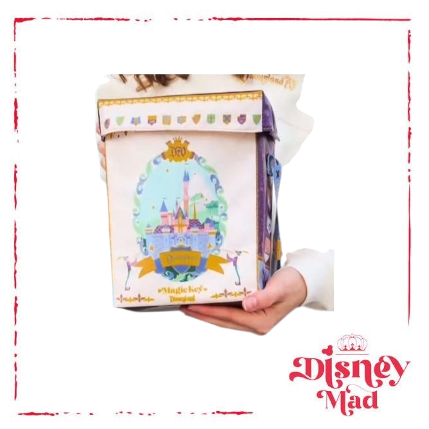 Magic Key Disneyland Insulated Popcorn Holder - Disney Parks