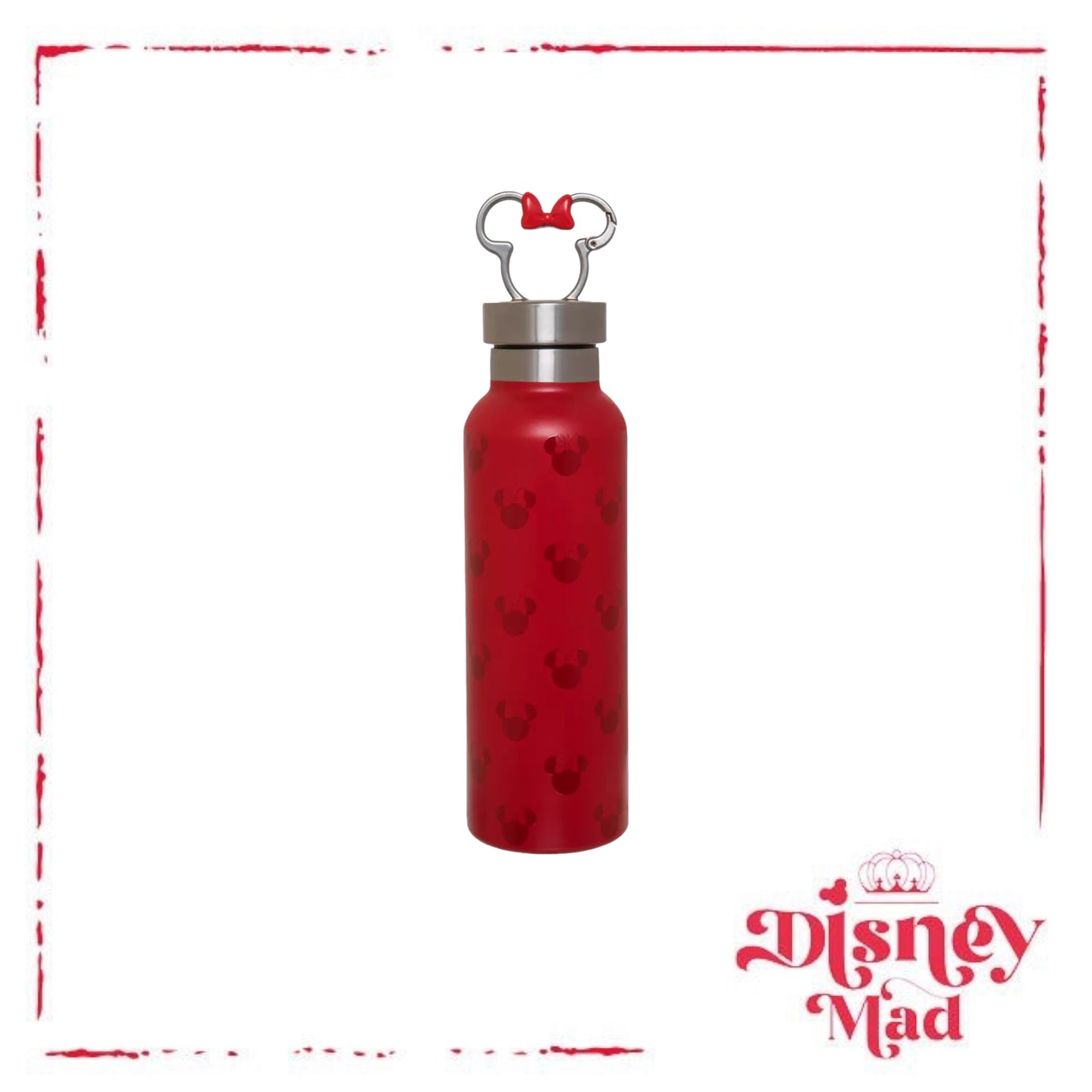 Minnie Mouse Stainless Steel Water Bottle with Clip Disney Parks