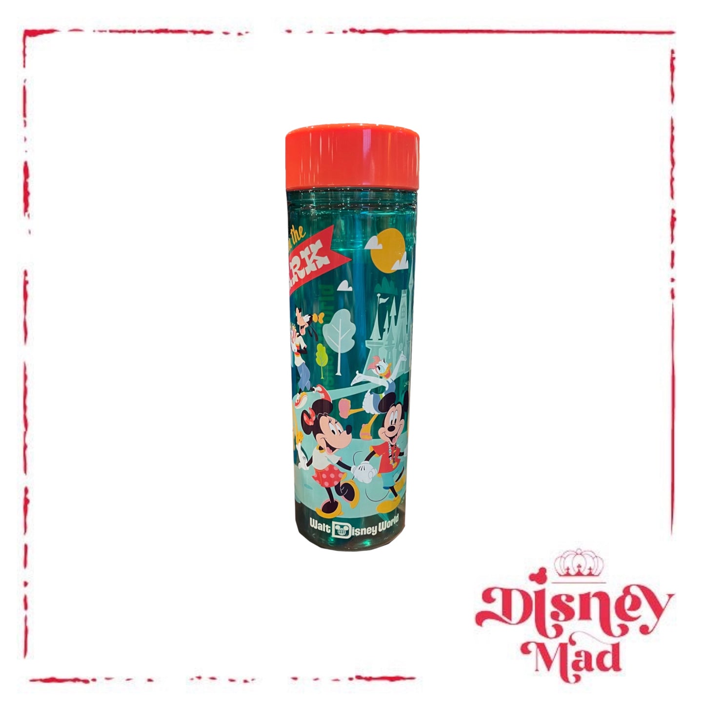 Disney Play In The Parks Water Bottle - Disney Parks