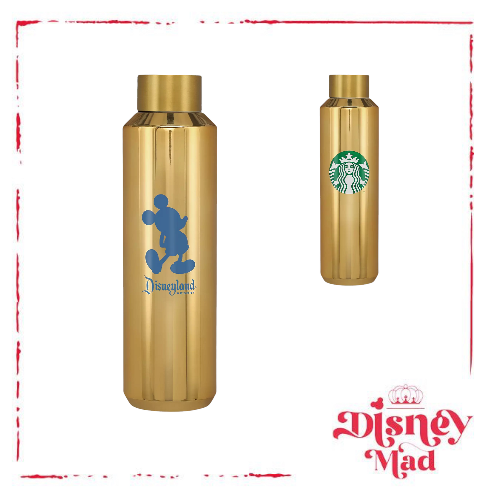 Walt Disney World Stainless Steel Starbucks Water Bottle - Yahoo Shopping